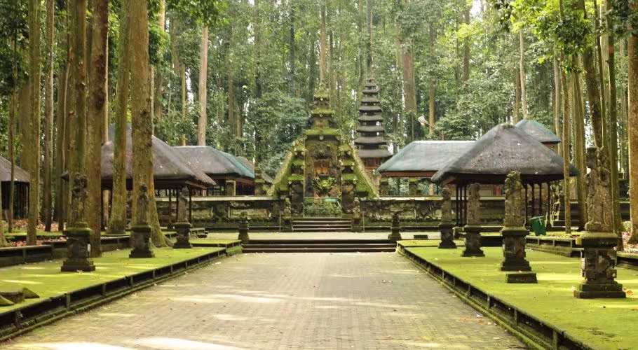 Monkey Forest of Sangeh Monkey Forest of Sangeh